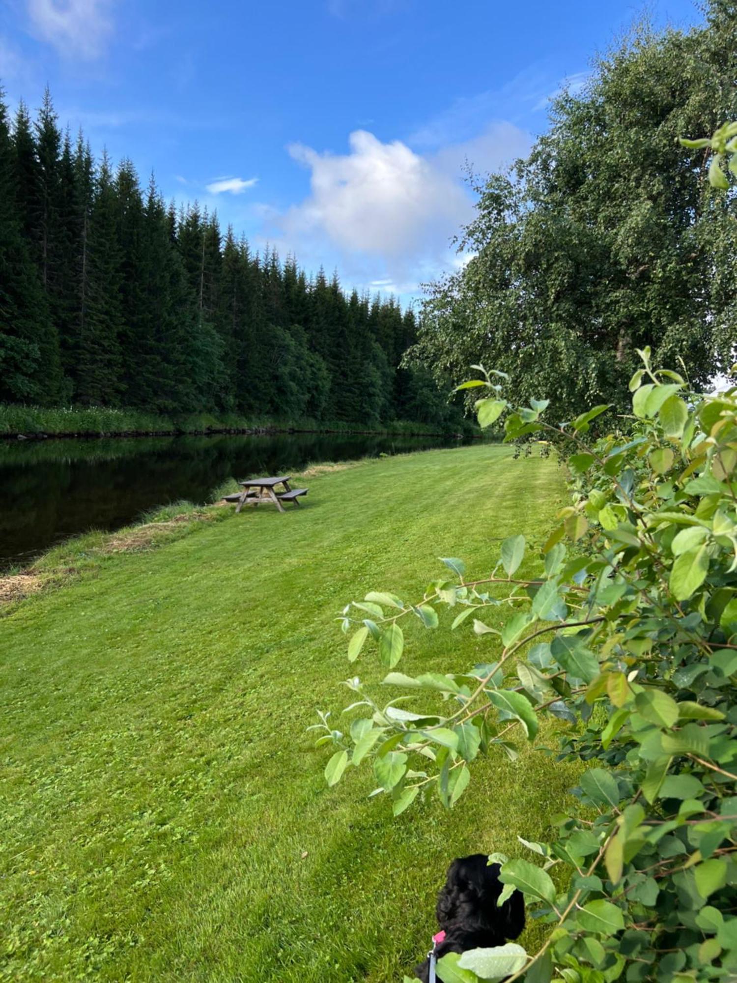 Gullvag Camping Nyberg Soknedal Exterior photo